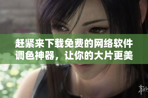 赶紧来下载免费的网络软件调色神器，让你的大片更美丽！