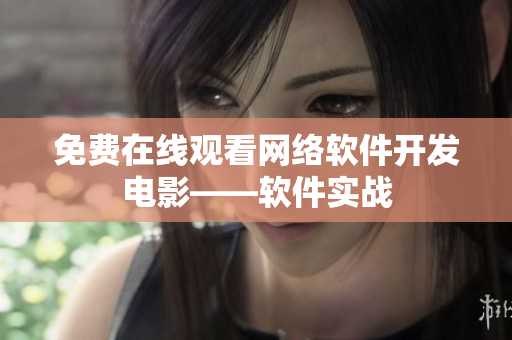 免费在线观看网络软件开发电影——软件实战