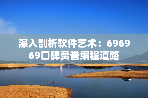 深入剖析软件艺术：696969口碑赞誉编程道路