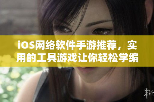 iOS网络软件手游推荐，实用的工具游戏让你轻松学编程