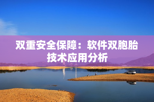双重安全保障：软件双胞胎技术应用分析