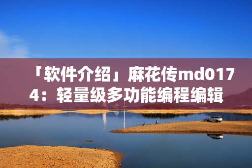 「软件介绍」麻花传md0174：轻量级多功能编程编辑器！