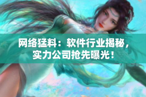 网络猛料：软件行业揭秘，实力公司抢先曝光！