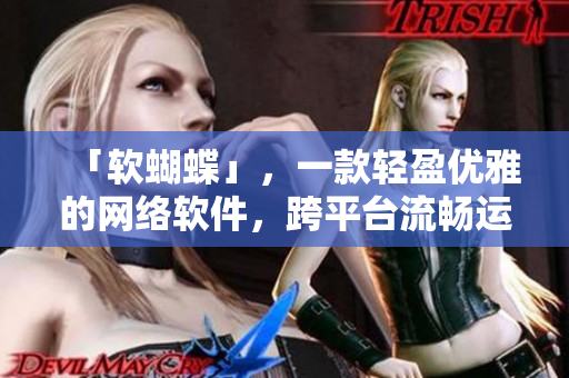 「软蝴蝶」，一款轻盈优雅的网络软件，跨平台流畅运行