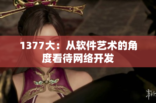1377大：从软件艺术的角度看待网络开发