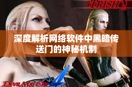 深度解析网络软件中黑暗传送门的神秘机制