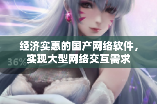经济实惠的国产网络软件，实现大型网络交互需求