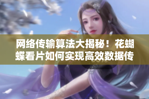 网络传输算法大揭秘！花蝴蝶看片如何实现高效数据传输？