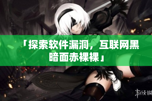 「探索软件漏洞，互联网黑暗面赤裸裸」