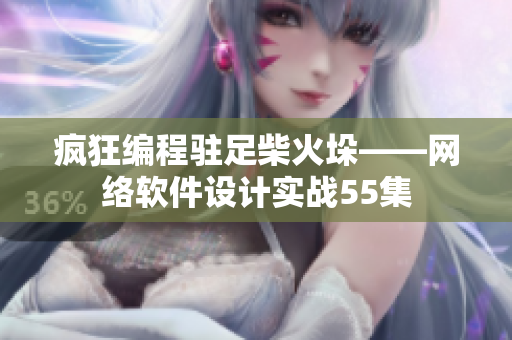 疯狂编程驻足柴火垛——网络软件设计实战55集