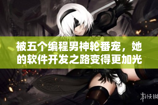 被五个编程男神轮番宠，她的软件开发之路变得更加光辉