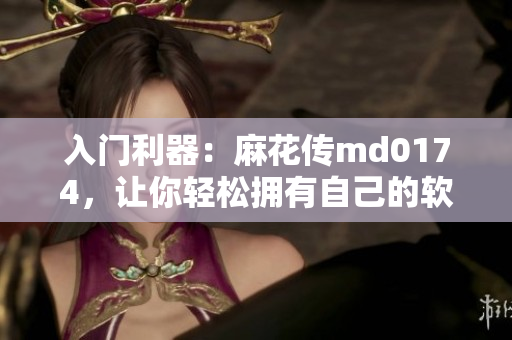 入门利器：麻花传md0174，让你轻松拥有自己的软件