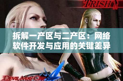 拆解一产区与二产区：网络软件开发与应用的关键差异