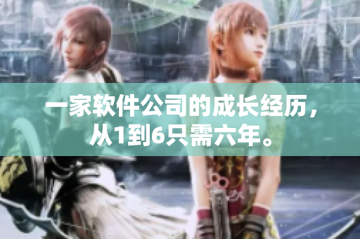 一家软件公司的成长经历，从1到6只需六年。