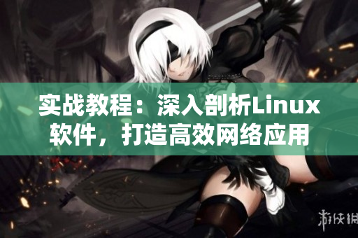 实战教程：深入剖析Linux软件，打造高效网络应用
