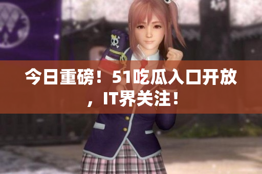 今日重磅！51吃瓜入口开放，IT界关注！