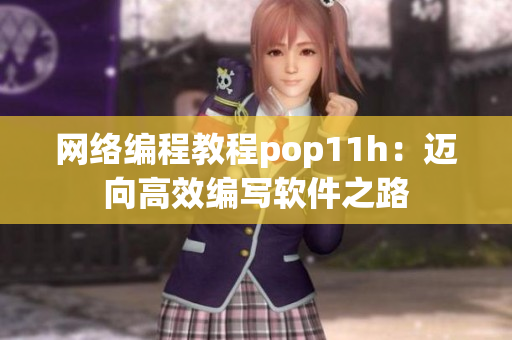 网络编程教程pop11h：迈向高效编写软件之路