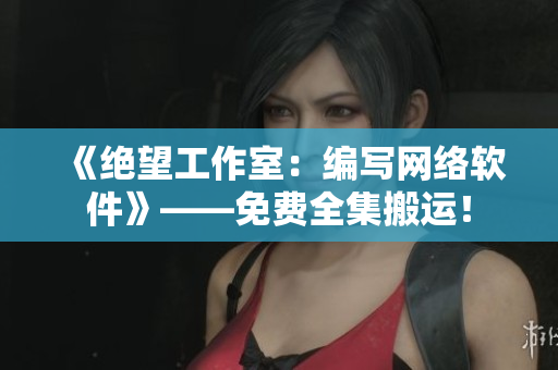 《绝望工作室：编写网络软件》——免费全集搬运！