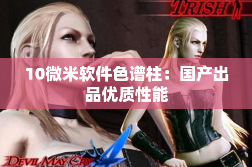 10微米软件色谱柱：国产出品优质性能