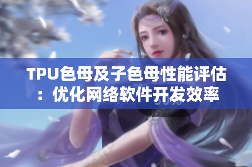 TPU色母及子色母性能评估：优化网络软件开发效率