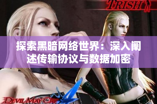 探索黑暗网络世界：深入阐述传输协议与数据加密