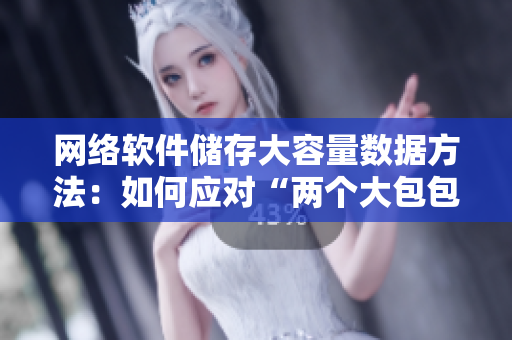 网络软件储存大容量数据方法：如何应对“两个大包包”？