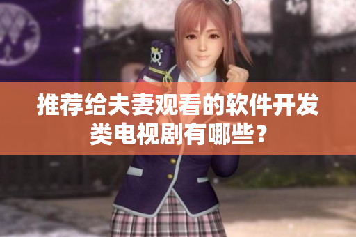 推荐给夫妻观看的软件开发类电视剧有哪些？