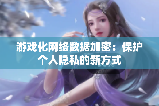 游戏化网络数据加密：保护个人隐私的新方式