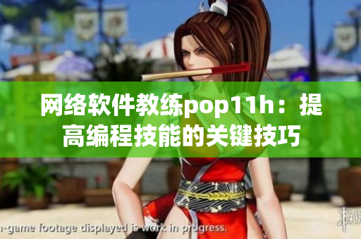 网络软件教练pop11h：提高编程技能的关键技巧