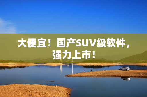 大便宜！国产SUV级软件，强力上市！