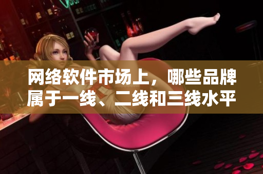 网络软件市场上，哪些品牌属于一线、二线和三线水平？