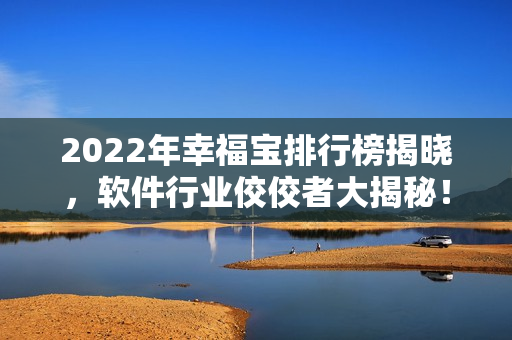 2022年幸福宝排行榜揭晓，软件行业佼佼者大揭秘！