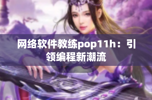 网络软件教练pop11h：引领编程新潮流