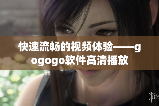 快速流畅的视频体验——gogogo软件高清播放