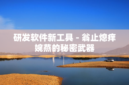 研发软件新工具 - 翁止熄痒婉燕的秘密武器
