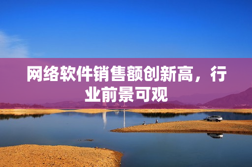 网络软件销售额创新高，行业前景可观