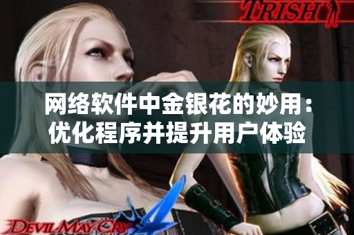 网络软件中金银花的妙用：优化程序并提升用户体验