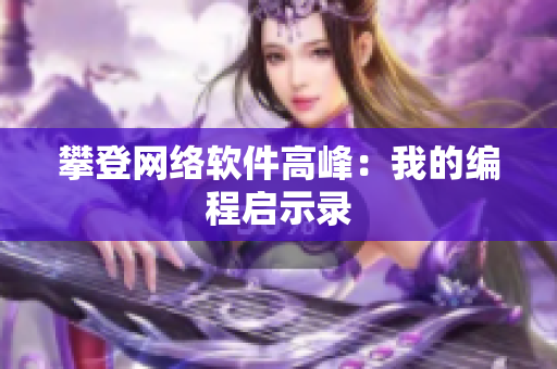 攀登网络软件高峰：我的编程启示录