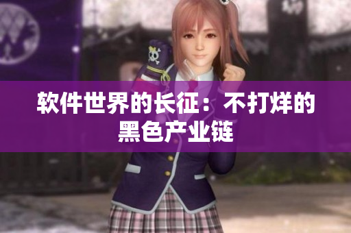软件世界的长征：不打烊的黑色产业链