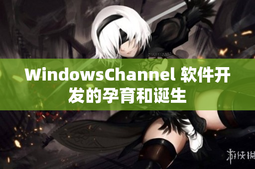 WindowsChannel 软件开发的孕育和诞生