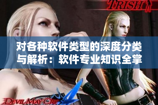 对各种软件类型的深度分类与解析：软件专业知识全掌握