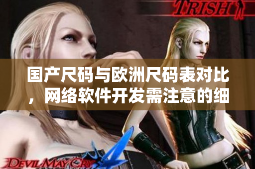 国产尺码与欧洲尺码表对比，网络软件开发需注意的细节