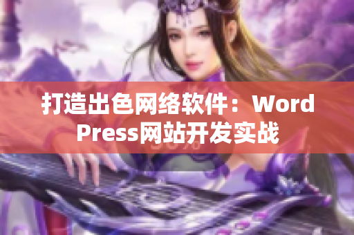 打造出色网络软件：WordPress网站开发实战
