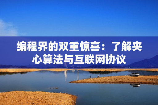编程界的双重惊喜：了解夹心算法与互联网协议