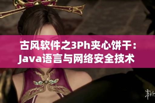 古风软件之3Ph夹心饼干：Java语言与网络安全技术的融合
