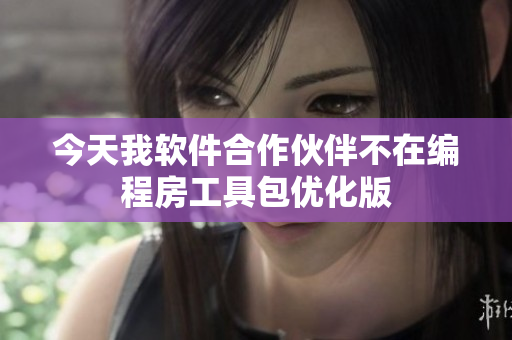 今天我软件合作伙伴不在编程房工具包优化版