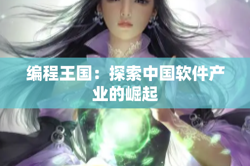 编程王国：探索中国软件产业的崛起