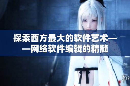 探索西方最大的软件艺术——网络软件编辑的精髓