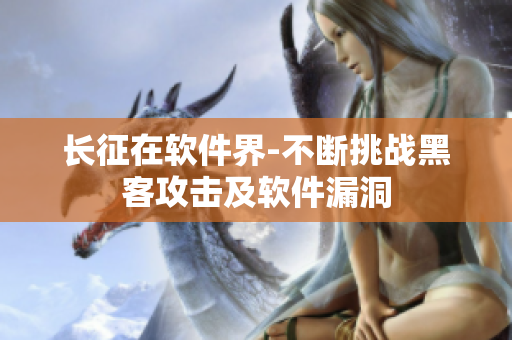 长征在软件界-不断挑战黑客攻击及软件漏洞