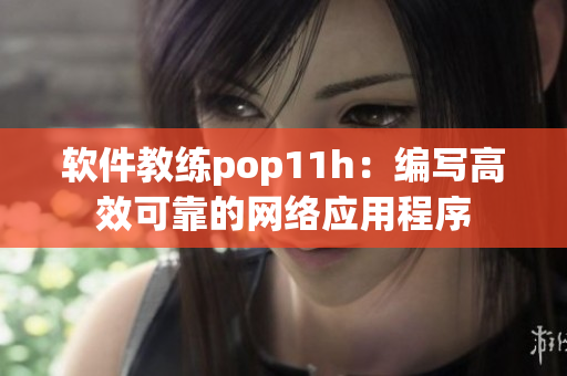软件教练pop11h：编写高效可靠的网络应用程序